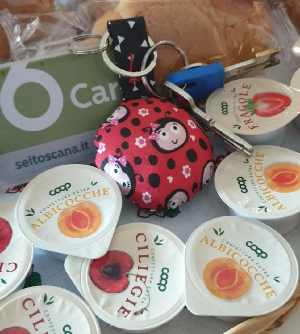 Ladybug Apartment Poggibonsi